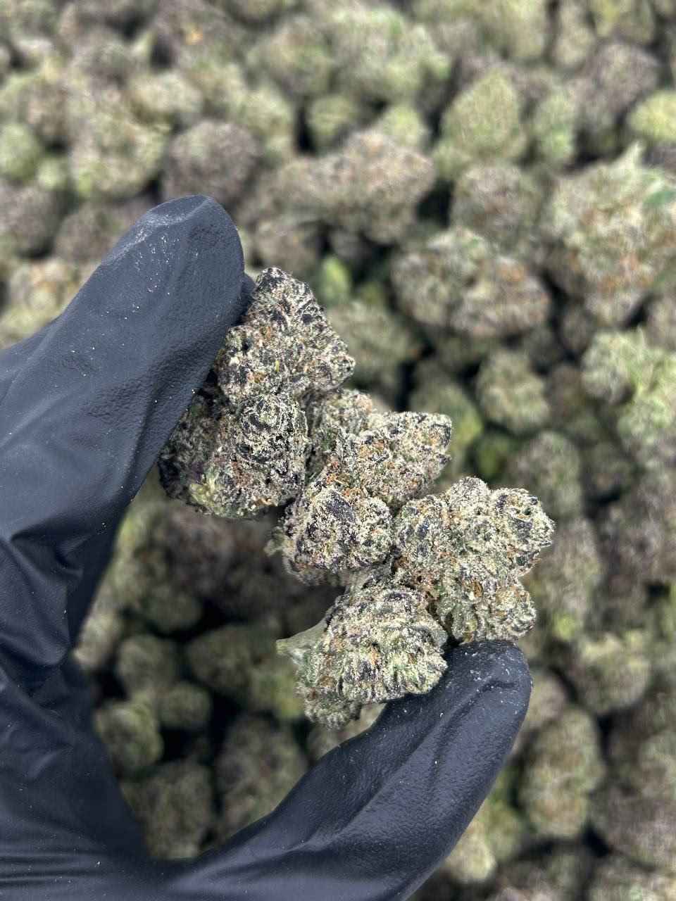 WHITE CHERRIEZ MEDIUMS 🍒❄️