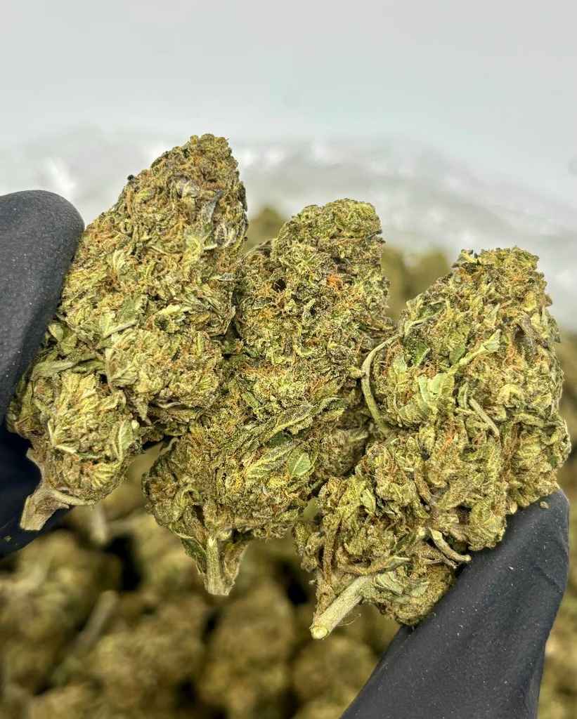 LONDON POUND CAKE 🇬🇧🥮