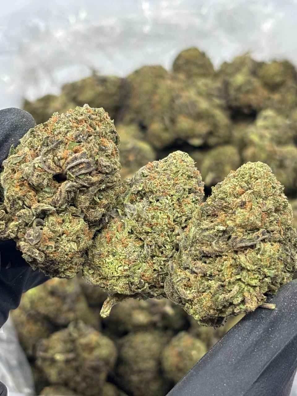 WHITE RASPBERRY 🤍🍒